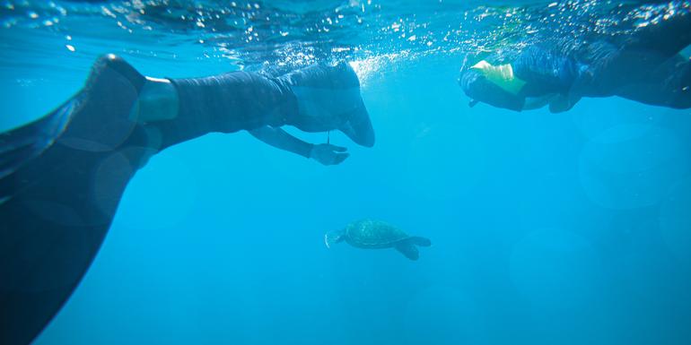RESA GALAPAGOS OCH VANDRING INKALEDEN